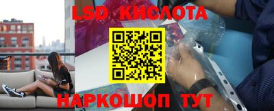 PSILOCYBIN Гусь-Хрустальный