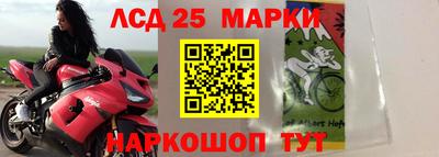 кокс Гусев