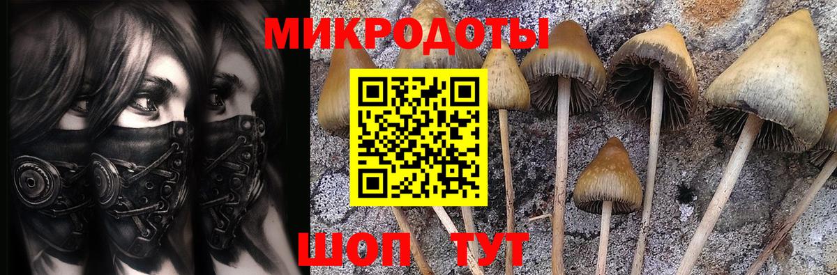 Псилоцибиновые грибы GOLDEN TEACHER  Галлюциногенные грибы ЛСД  Нижнекамск  Вход с VPN 