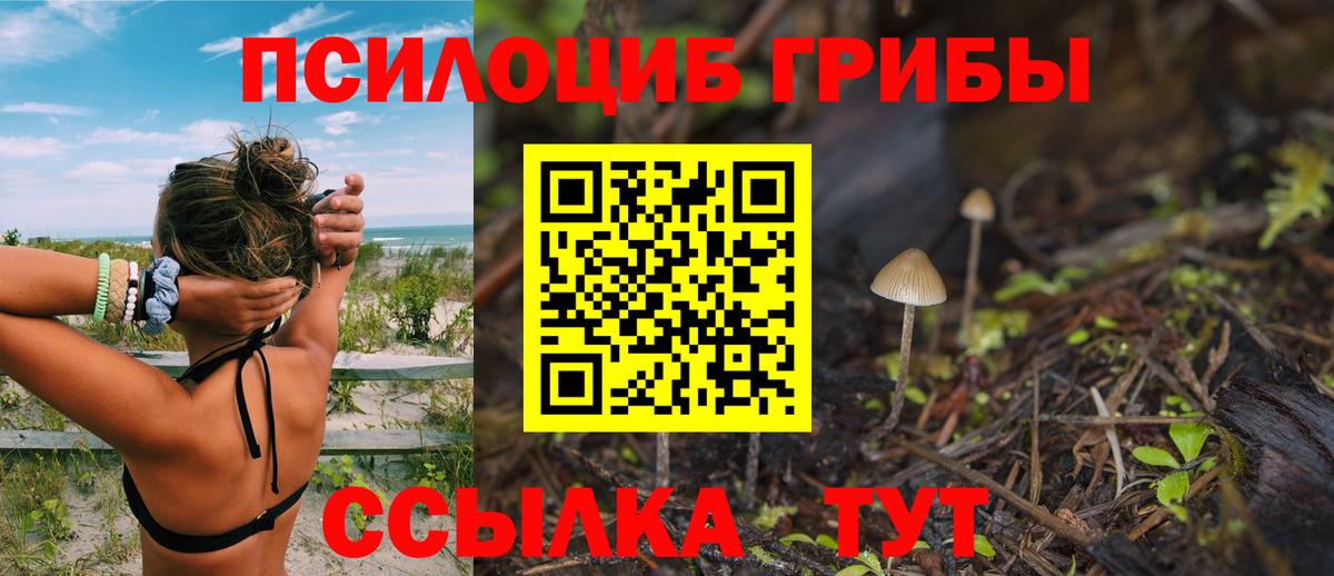 Псилоцибиновые грибы Cubensis Нижнекамск
